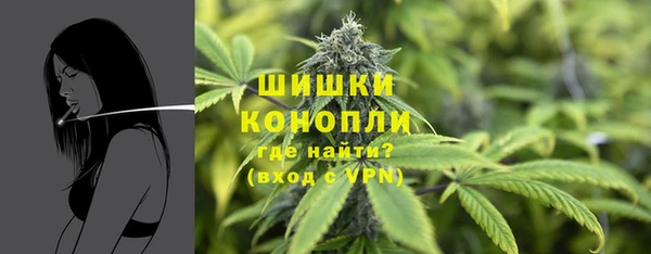 PSILOCYBIN Балабаново