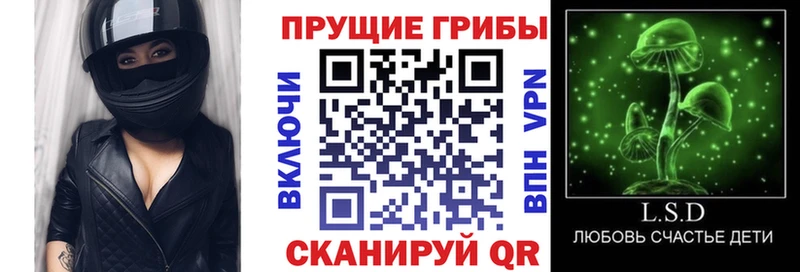 Галлюциногенные грибы прущие грибы  Лесозаводск 